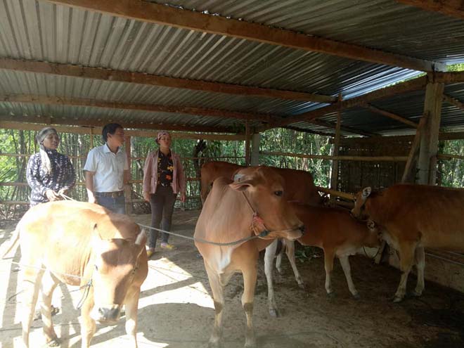 Người dân xã Đắk Dục phấn khởi khi tham gia thực hiện nhóm LEG chăn nuôi bò sinh sản
