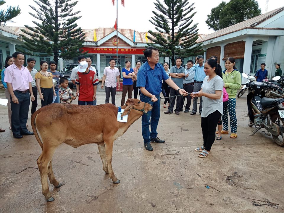 Tổ 04 Đăk Xú trao tặng bò sinh sản cho hộ nghèo